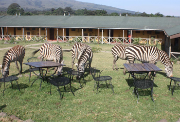 4days-wild-and-culture-mid-range-safari